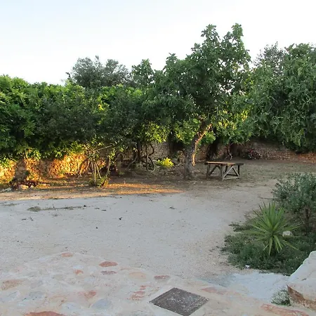 Masseria Triticum-2